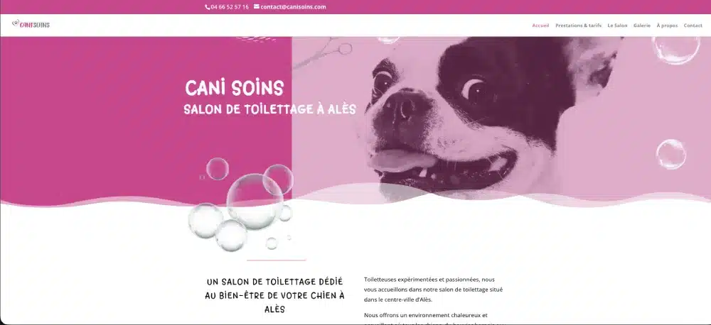 Aperçu du site Cani Soins
